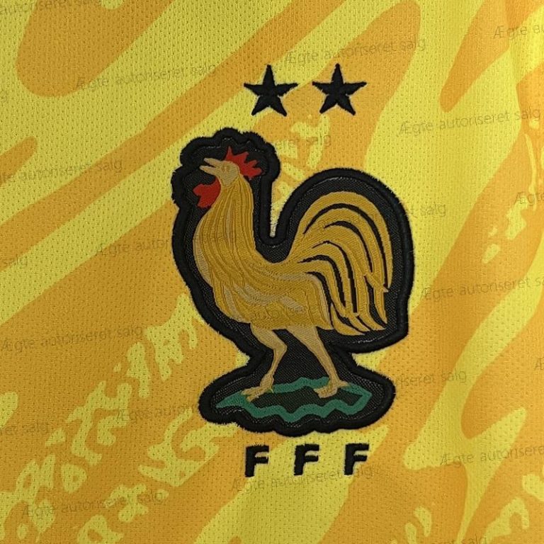 Billige Frankrig Yellow Målmand fodboldtrøje 24/25 – UEFA Euro 2024