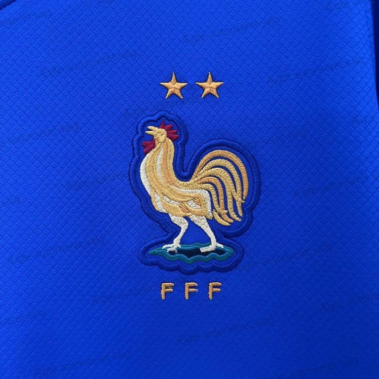 Billige Frankrig kvinders Hjemmebane fodboldtrøje 24/25 – UEFA Euro 2024